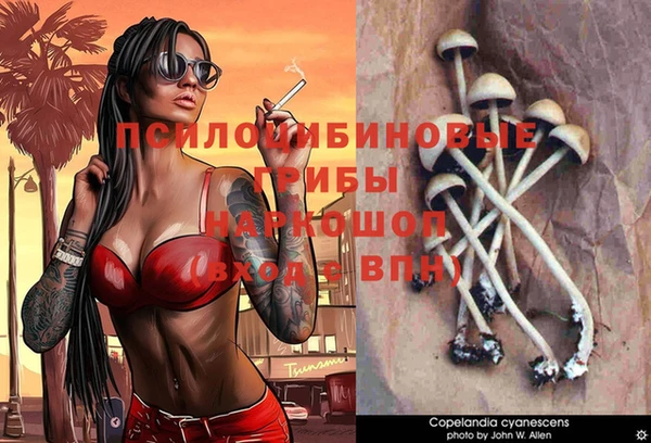 индика Алексеевка