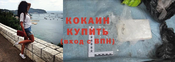 соль ск Алзамай