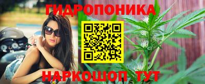 PSILOCYBIN Балахна