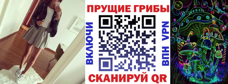 цены наркотик  Большой Камень  Галлюциногенные грибы прущие грибы 