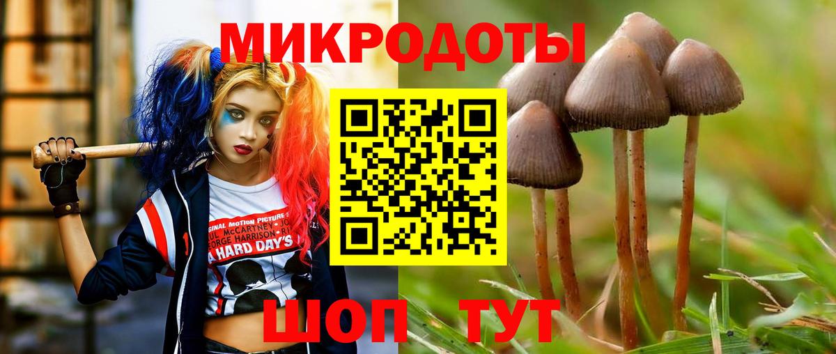 Галлюциногенные грибы MAGIC MUSHROOMS Большой Камень
