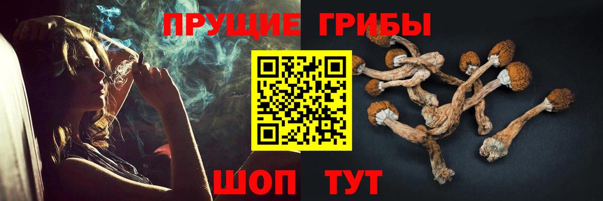 закладка  Вход с VPN  Большой Камень  Галлюциногенные грибы прущие грибы 